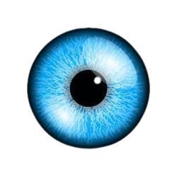Blue Contact Lens (2)