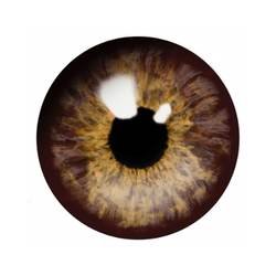 Brown Contact Lens (2)
