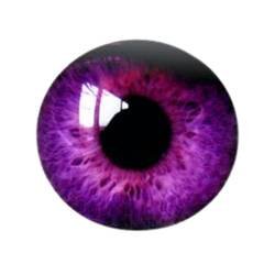 Violet Contact Lens (2)