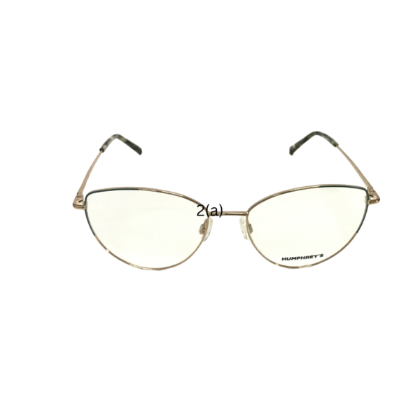 Eyewear 4